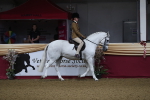 SBM_09235