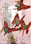 The Fairy Folk 34