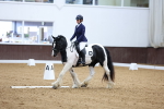 SBM_002264