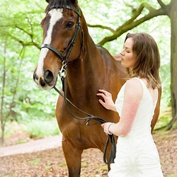 Exracehorse_plean5