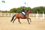 SBM_006783