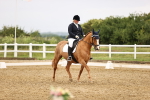 SBM_005339