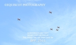 BPP_2511