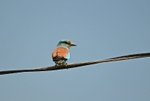 Roller