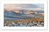 Above Arivurichardich ♦ TROSSACHS