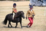 WJ6_9144