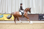 SBM_002848