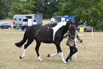 WJ6_5268