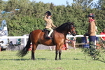 Class 16: Cornish Combination Leading Rein portfolio