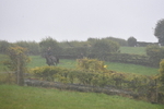 WJ5_7344