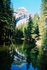 Half Dome-Yosemite