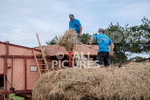 Guernsey Agricultural Show 2021-101