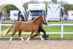 SBM_02448