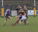 DSC01986
