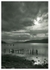 Loch Ness portrait