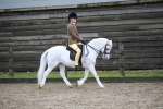SBM_005908