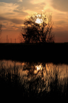 10-10-10 Sunset II