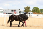 SBM_10933