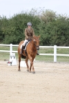 SBM_017403