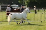 SBM_00638