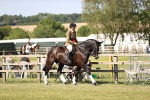 SBM_18741