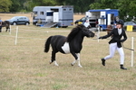 WJ6_5337