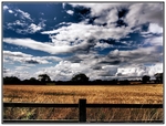 Big_Country