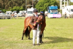 SBM_00591