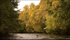 Autumn on the Scaur III