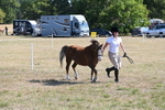 Class 34 Judges Choice portfolio