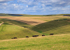 Dorset-2