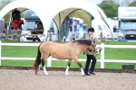SBM_00211
