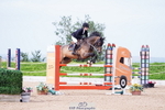 Cls 29 Snr Foxhunter portfolio