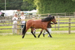 SBM_00430