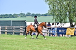 SBM_17422