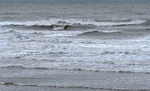 Waves 6244