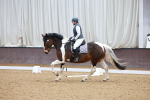 SBM_002885