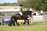 SBM_09540