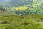 Howtown-33