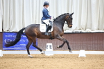 SBM_008185