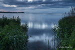 Evening Light on Lough Neagh - Bartins' Bay, County Armagh.