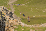Ennerdale-704