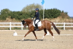 SBM_013101