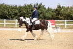 SBM_003752