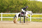 SBM_004108