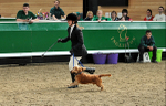 equiscot 3119