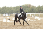 SBM_004002
