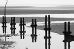 Posts (B&W)