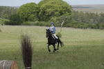 BVHT 140517  IXC -170