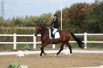 SBM_000905